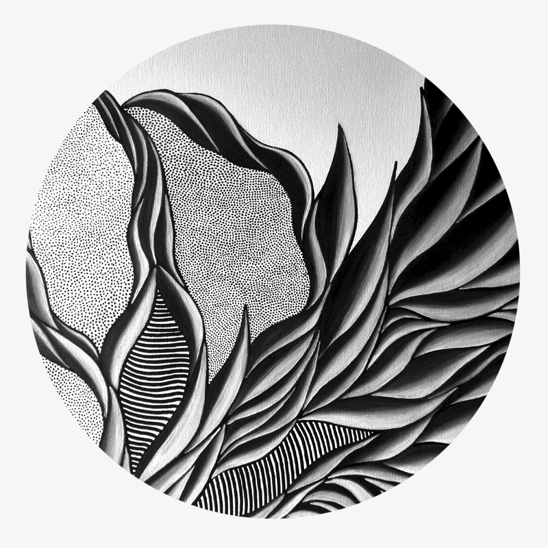 BAMink-Audrey Augusti-Végétabilis Spatium-sous-verre-visuel 01 Visuel 01 de la collection Végétabilis Spatium