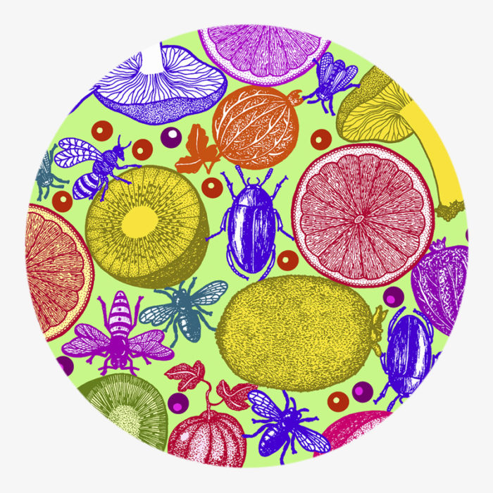 Visual 02 of the Salade de fruit I collection