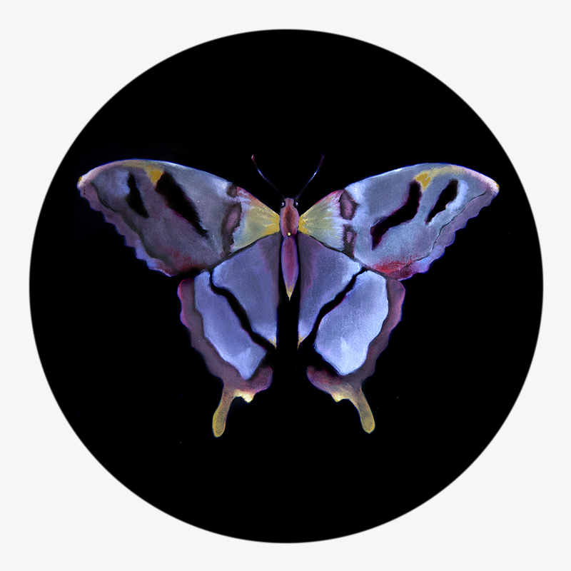 BAMink-Pauline Dubisy-Métamorphose-sous-verre-visuel 03 Visuel 03 de la collection Métamorphose