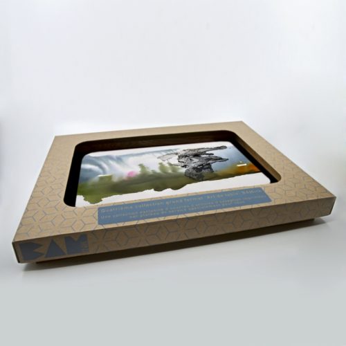 official packaging service tray