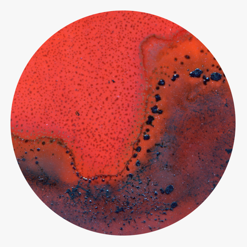 BAMink-Yannick Pirson-Naturel Cyan-sous-verre-visuel 02 Visuel 02 de la collection Naturel Cyan