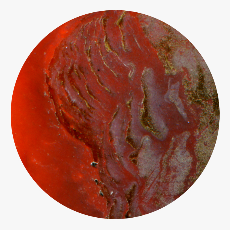 BAMink-Yannick Pirson-Naturel Red-sous-verre-visuel 03 Visuel 03 de la collection Naturel Red