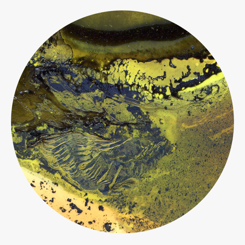 BAMink-Yannick Pirson-Ool Green-sous-verre-visuel 01 Visuel 01 de la collection Ool Green