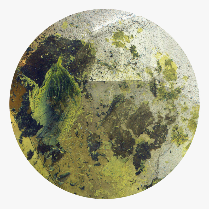 BAMink-Yannick Pirson-Ool Green-sous-verre-visuel 02 Visuel 02 de la collection Ool Green