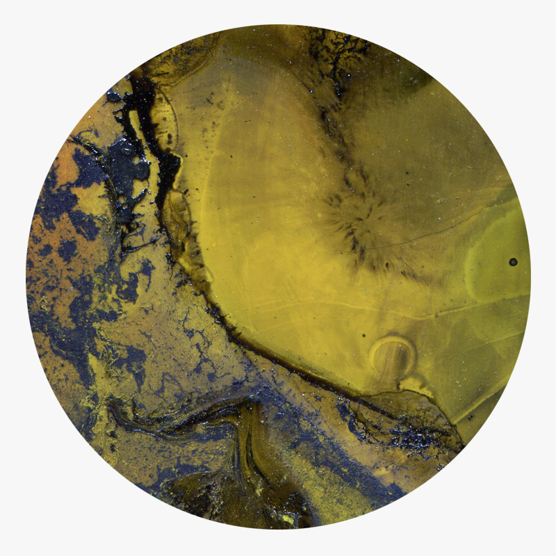 BAMink-Yannick Pirson-Ool-d O Green-sous-verre-visuel 01 Visuel 01 de la collection Ool-d O Green