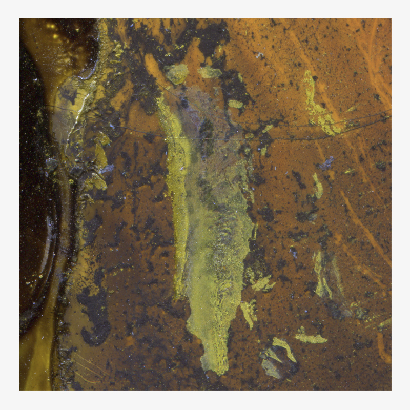 BAMink-sous-plat-Yannick Pirson-Ool Green-visuel Visuel Ool Green