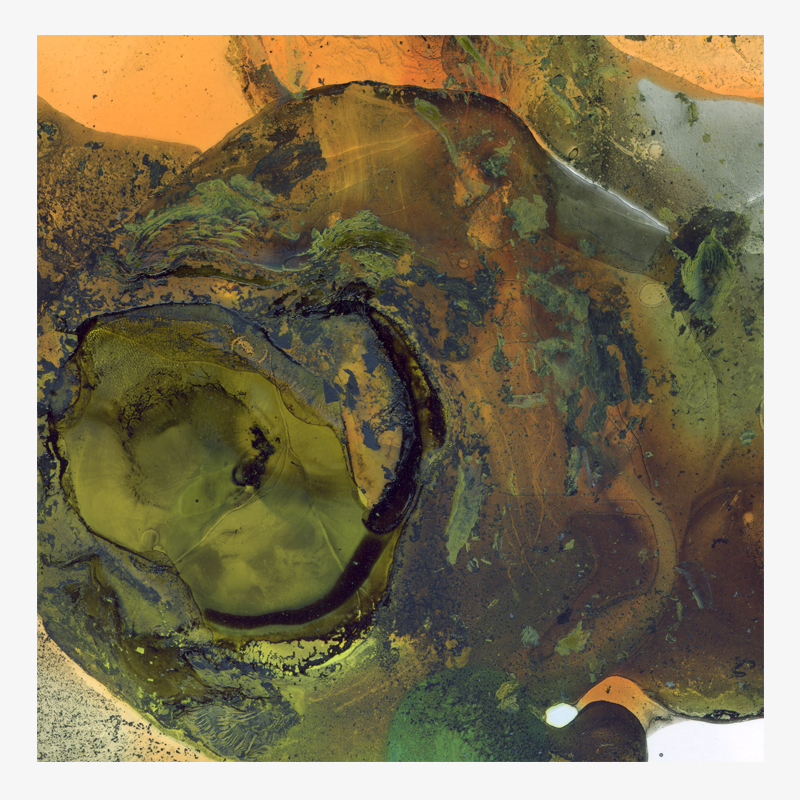 BAMink-sous-plat-Yannick Pirson-Ool-d O Green-visuel Visuel Ool-d O Green