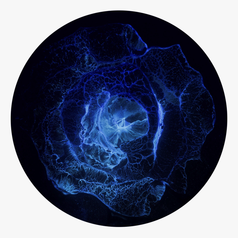 BAMink-sous-verre-3 p'tits points-Pépites Néons-05 Visuel 02 de la collection Pépites Néons